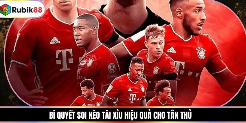 Bí quyết soi kèo tài xỉu hiệu quả cho tân thủ