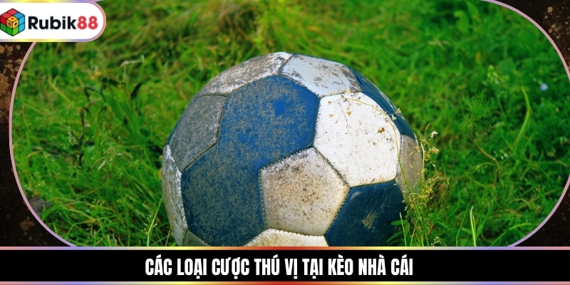 Các loại cược thú vị tại kèo nhà cái
