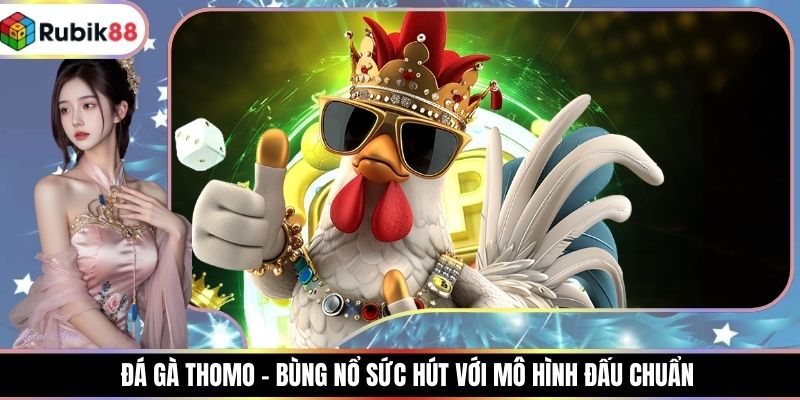 Đá Gà Thomo - Bùng Nổ Sức Hút Với Mô Hình Đấu Chuẩn