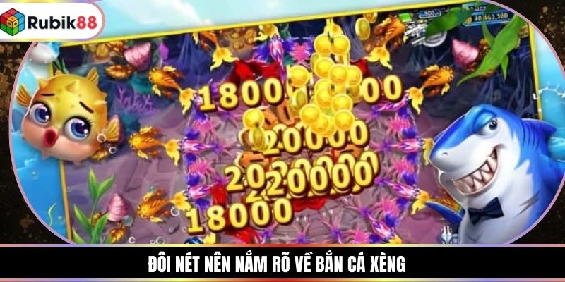 Đôi nét nên nắm rõ về bắn cá xèng