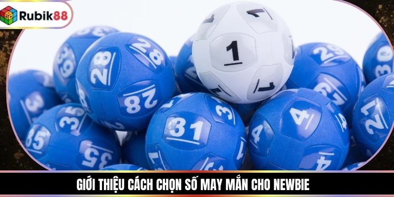 Giới thiệu cách chọn số may mắn cho newbie