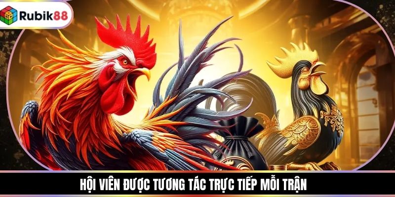 Hội viên được tương tác trực tiếp mỗi trận