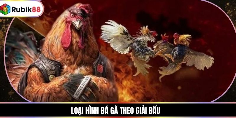 Loại hình đá gà theo giải đấu