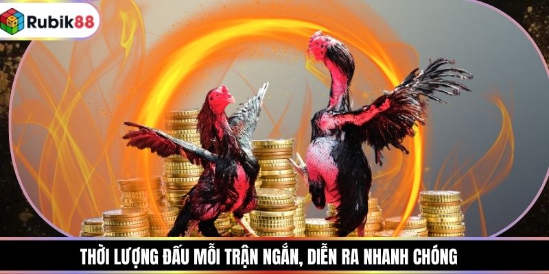 Thời lượng đấu mỗi trận ngắn, diễn ra nhanh chóng