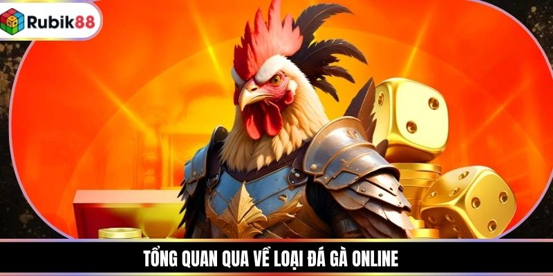 Tổng quan qua về loại đá gà online