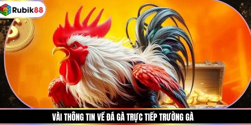 Vài thông tin về đá gà trực tiếp trường gà